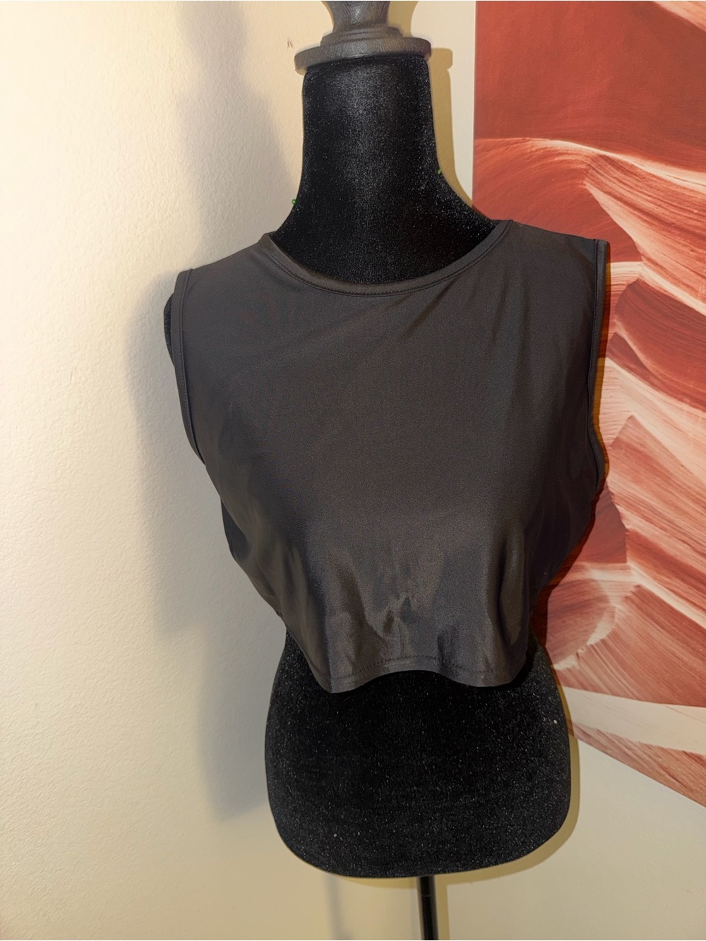 H&M Black Sleeveless Cropped Tank